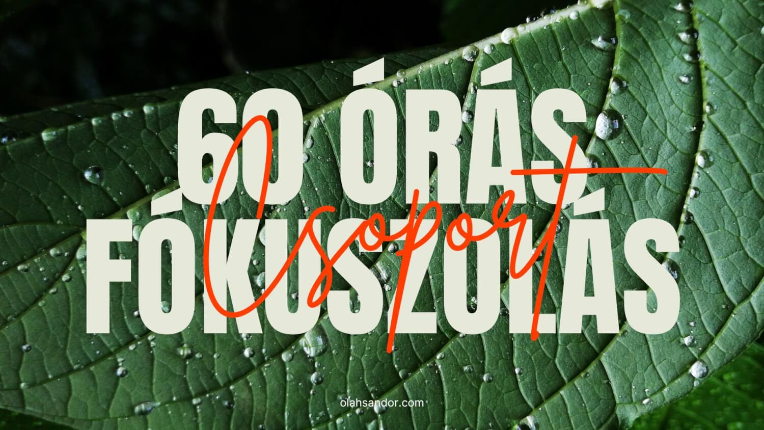 60 órás fókuszolás csoport Szegeden