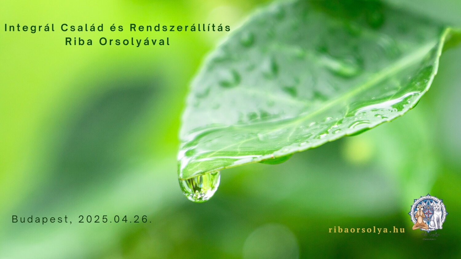 Integrál Család és Rendszerállítás
