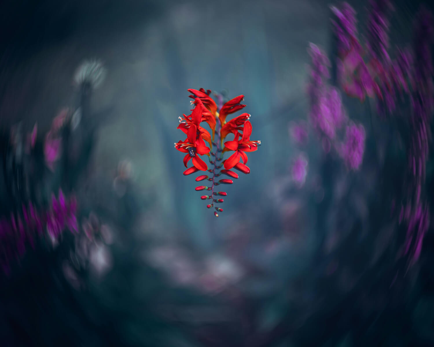 Tavasz.Idebent. // Szomatikus (testfókuszú) női önismereti csoport