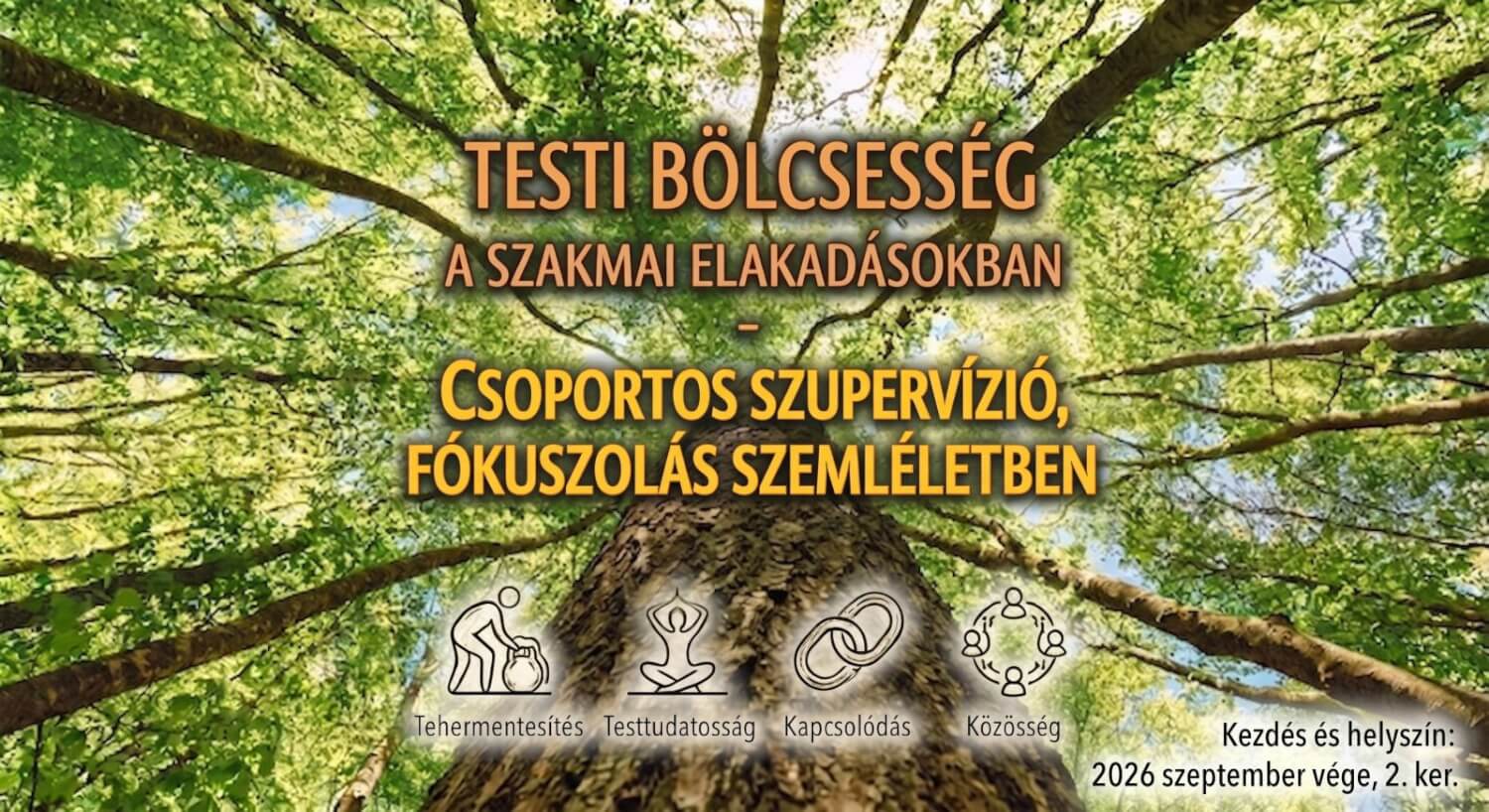 Testi bölcsesség a szakmai elakadásokban – Csoportos szupervízió, Fókuszolás szemléletben