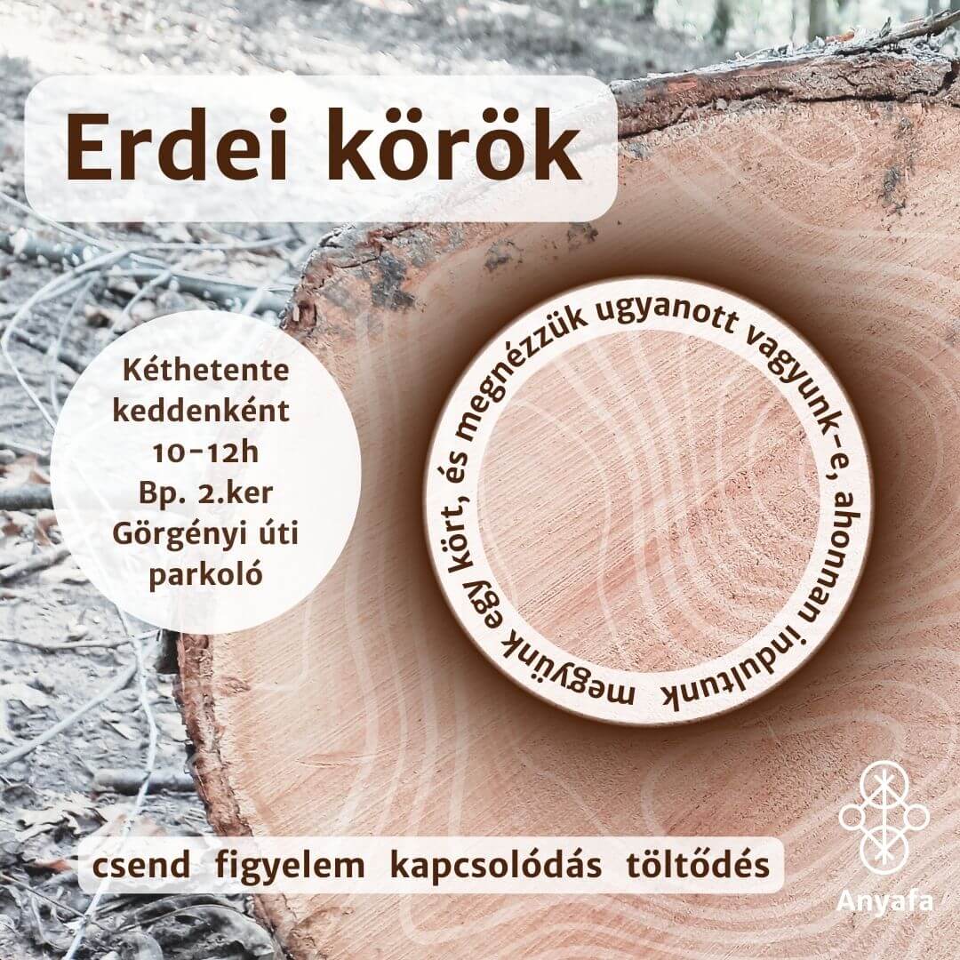 Erdei körök – feltöltő erdei relaxáció és séta