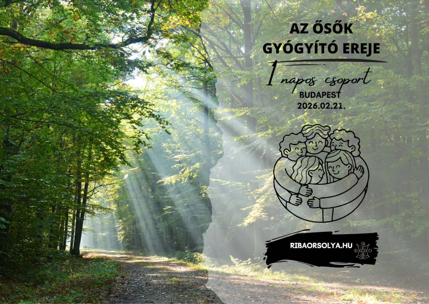 Az Ősök Gyógyító Ereje- Integrál családállító csoport