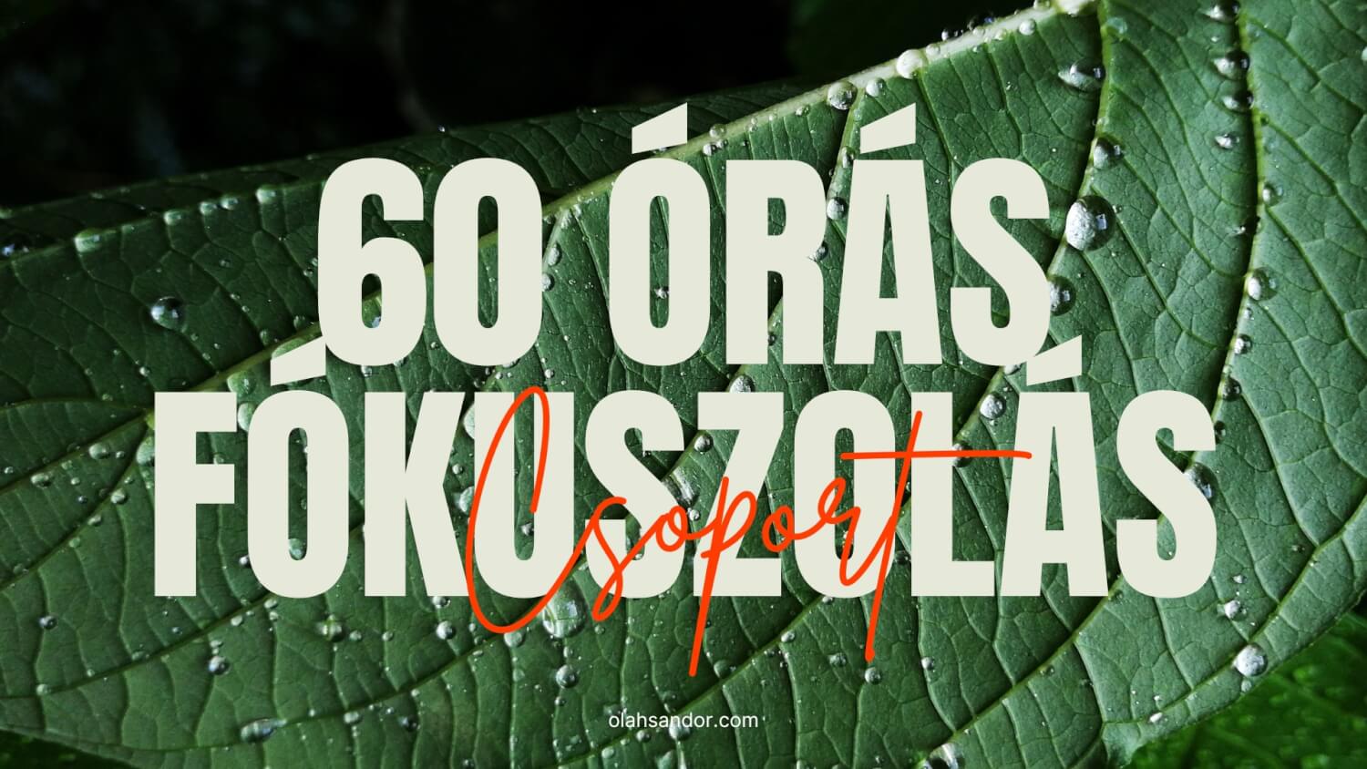 60 órás fókuszolás csoport – Szeged – ősz